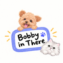 Bobby in There