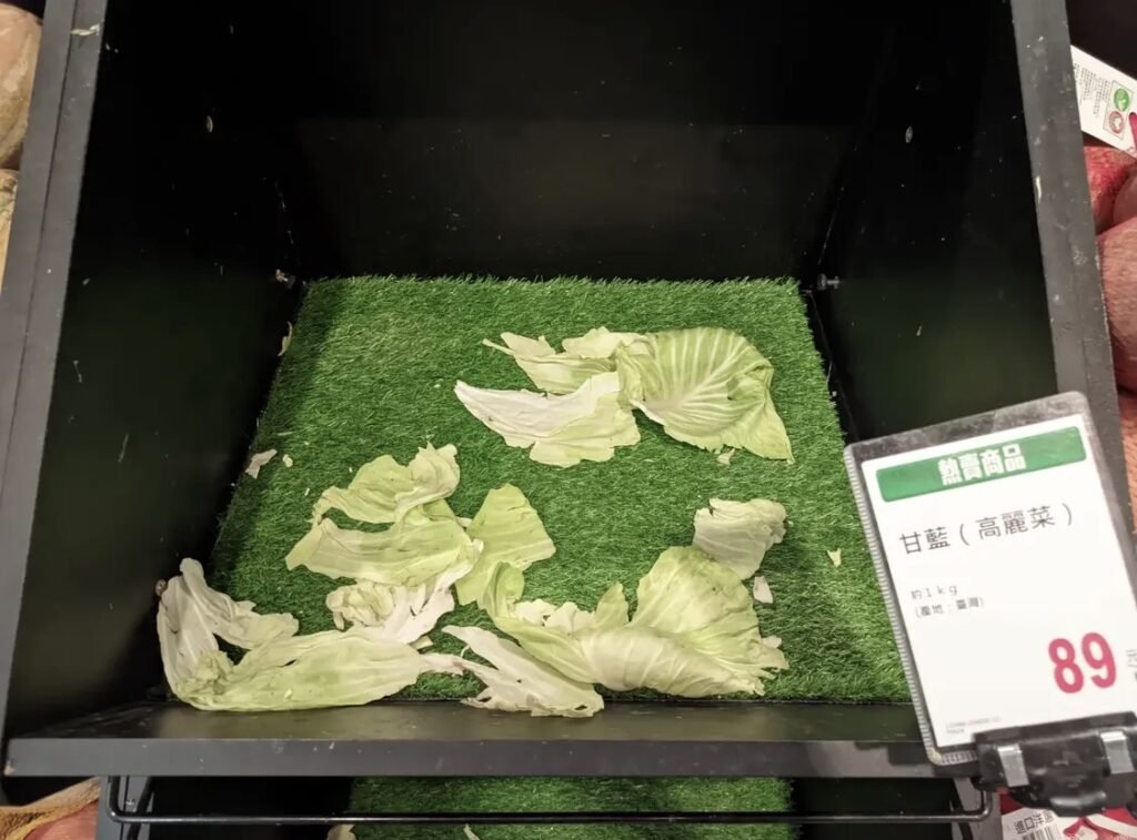 Cabbage that disappeared on a typhoon day 
