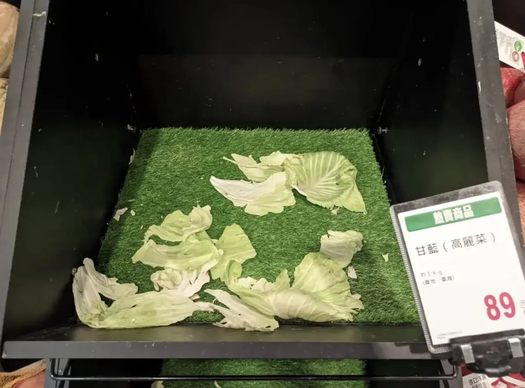 Cabbage that disappeared on a typhoon day 